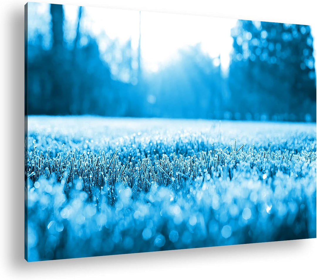 deyoli Morgenfrost auf einer Frühlingswiese Format 80x60 Effekt: Monocrome Blau als Leinwandbild, Mo