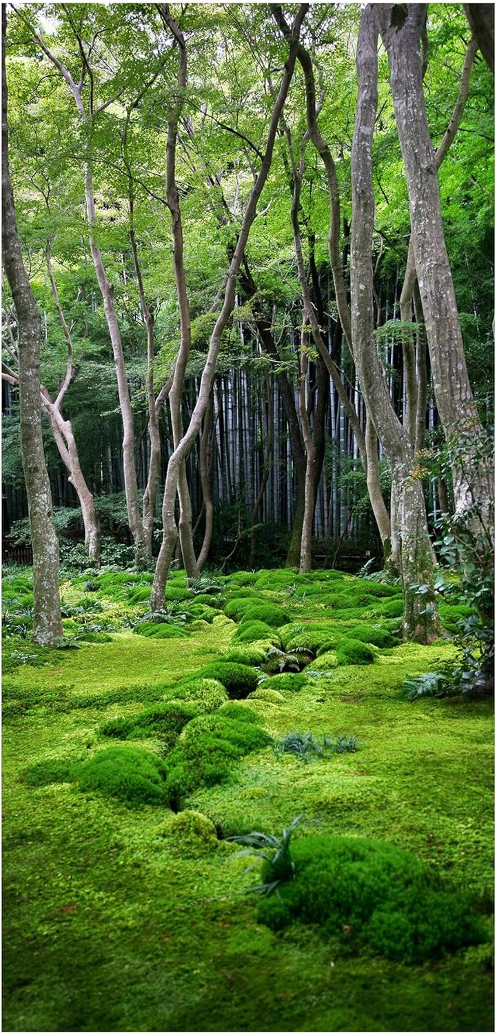 Bilderwelten Raumteiler Growing Trees 250x120cm ohne Halterung 250x120cm without hanger, 250x120cm w