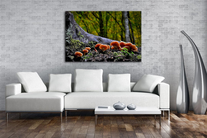 deyoli Pilze am Baumstamm Format: 80x60 als Leinwand, Motiv fertig gerahmt auf Echtholzrahmen, Hochw