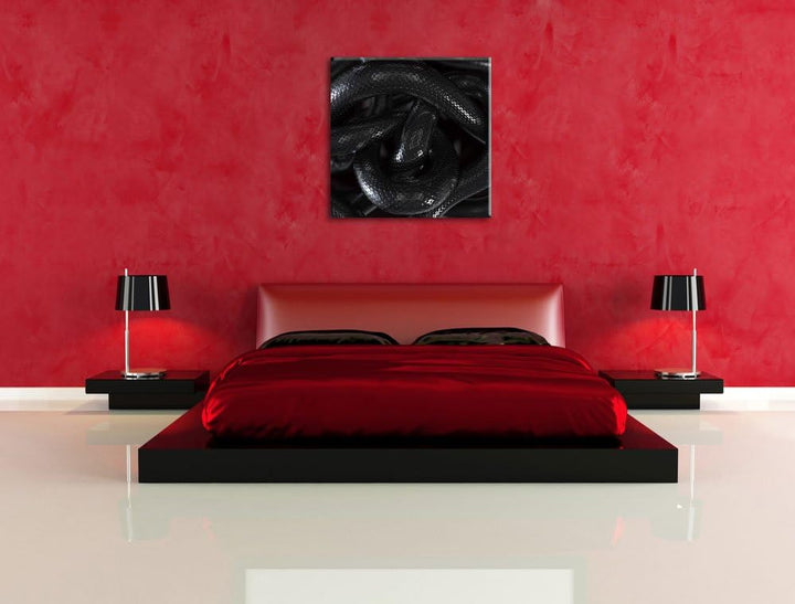 Schwarze elegante Schlange, Format: 70x70 auf Leinwand, XXL riesige Bilder fertig gerahmt mit Keilra