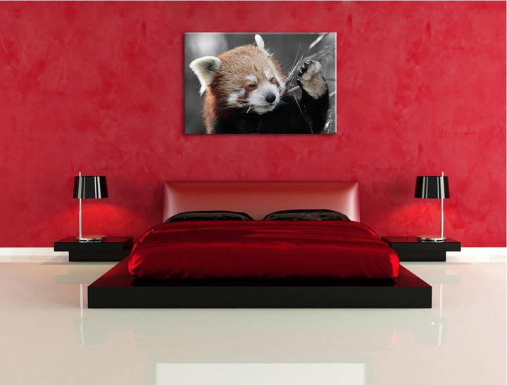 süsser Panda sagt Hallo schwarz/weiss Format: 100x70 auf Leinwand, XXL riesige Bilder fertig gerahmt