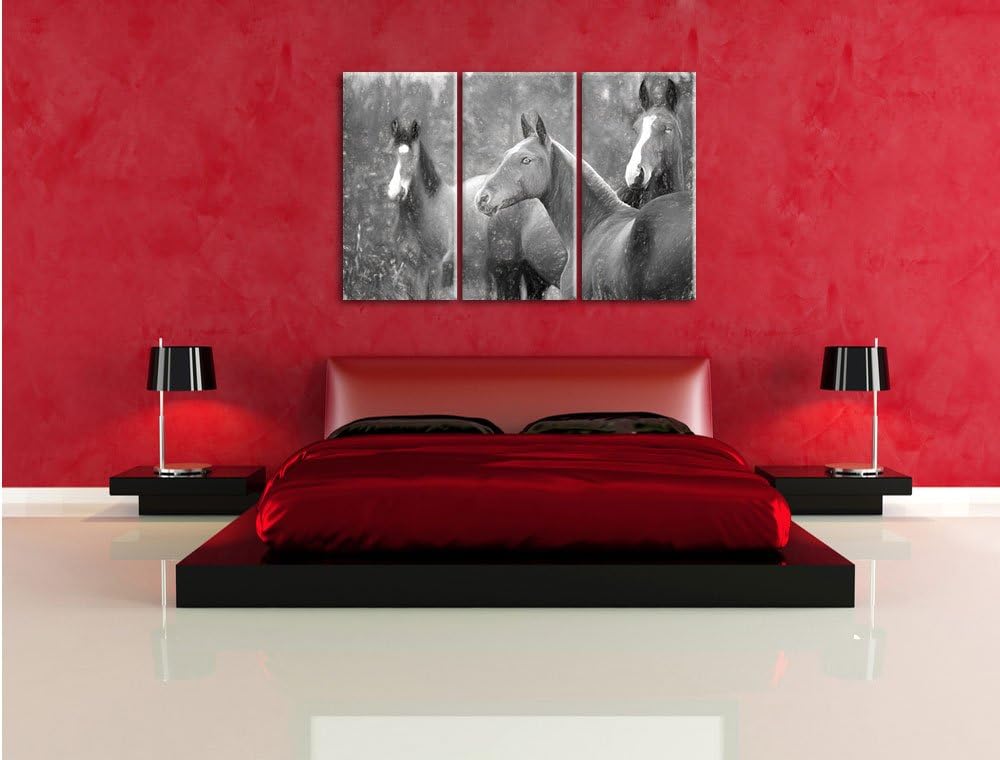 Pixxprint schöne Pferde auf der Wiese Kunst als Leinwandbild/Grösse: 3 Teilig (120x80) cm/Wandbild/K