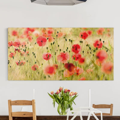 Bilderwelten Leinwandbild - Summer Poppies - Quer 1:2, 30cm x 60cm, 30cm x 60cm