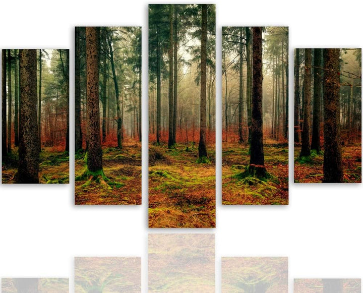 Feeby Wandbild XXL 5 Teilig Natur Leinwandbild Landschaft Wald Bäume bunt 300x140 cm Leinwandbild 30