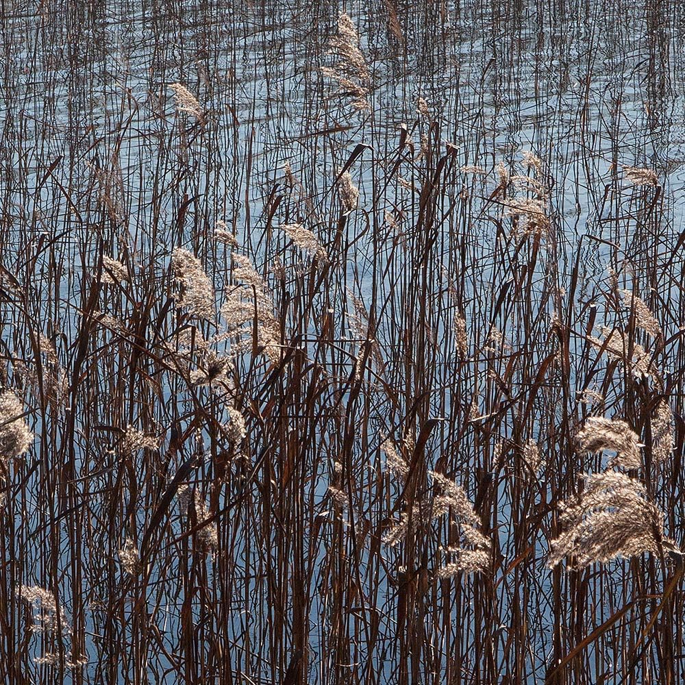 Bild auf Leinwand Landschaft 5 Teilig Modern Natur See Gras bunt 150x100 cm Leinwandbild 150x100 cm