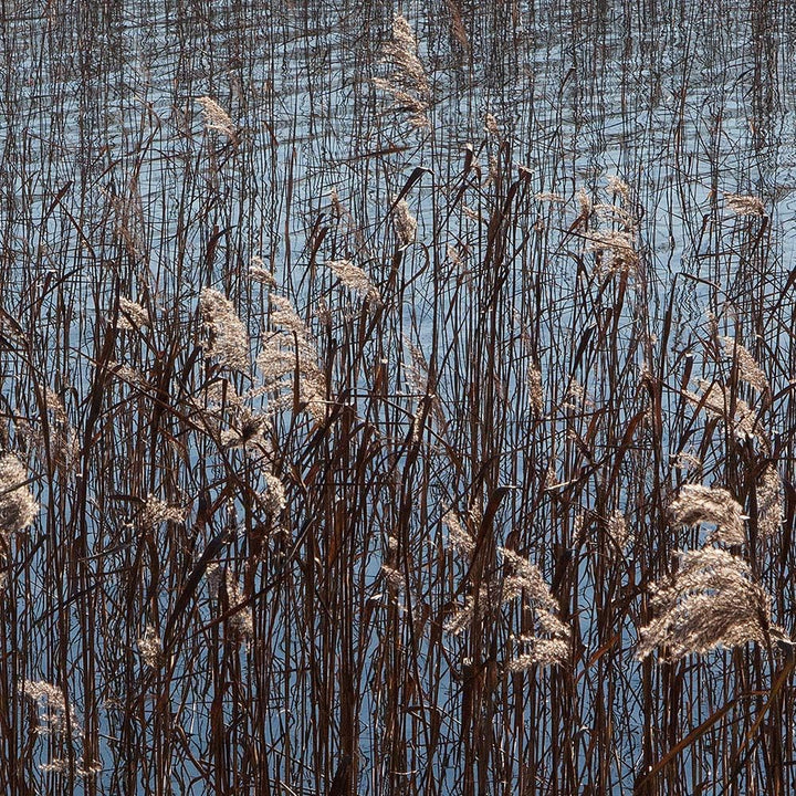 Bild auf Leinwand Landschaft 5 Teilig Modern Natur See Gras bunt 150x100 cm Leinwandbild 150x100 cm