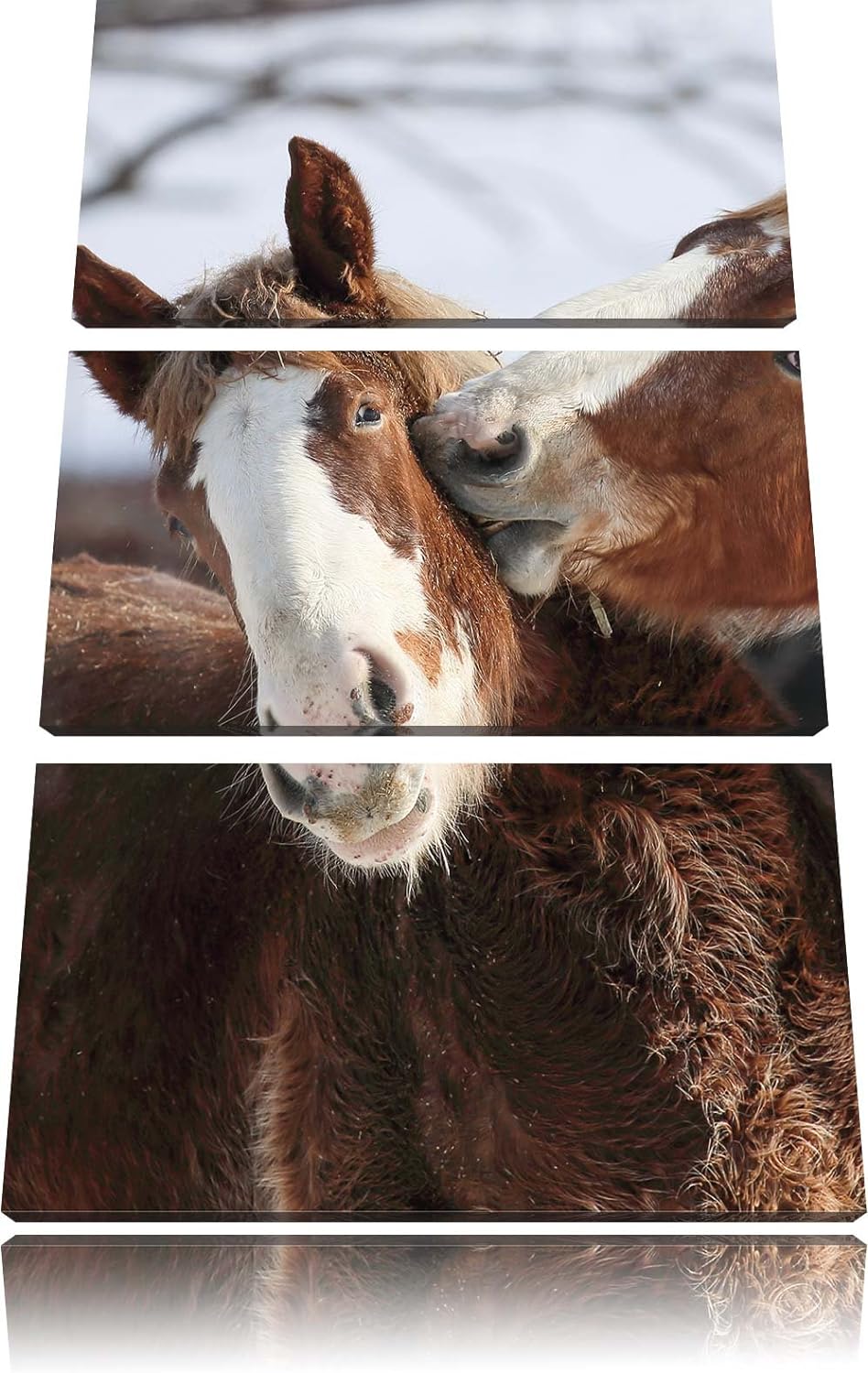 Pixxprint schmusende Pferde als Leinwandbild/Grösse: 3 Teilig (120x80) cm/Wandbild/Kunstdruck/fertig