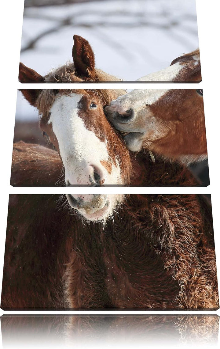 Pixxprint schmusende Pferde als Leinwandbild/Grösse: 3 Teilig (120x80) cm/Wandbild/Kunstdruck/fertig