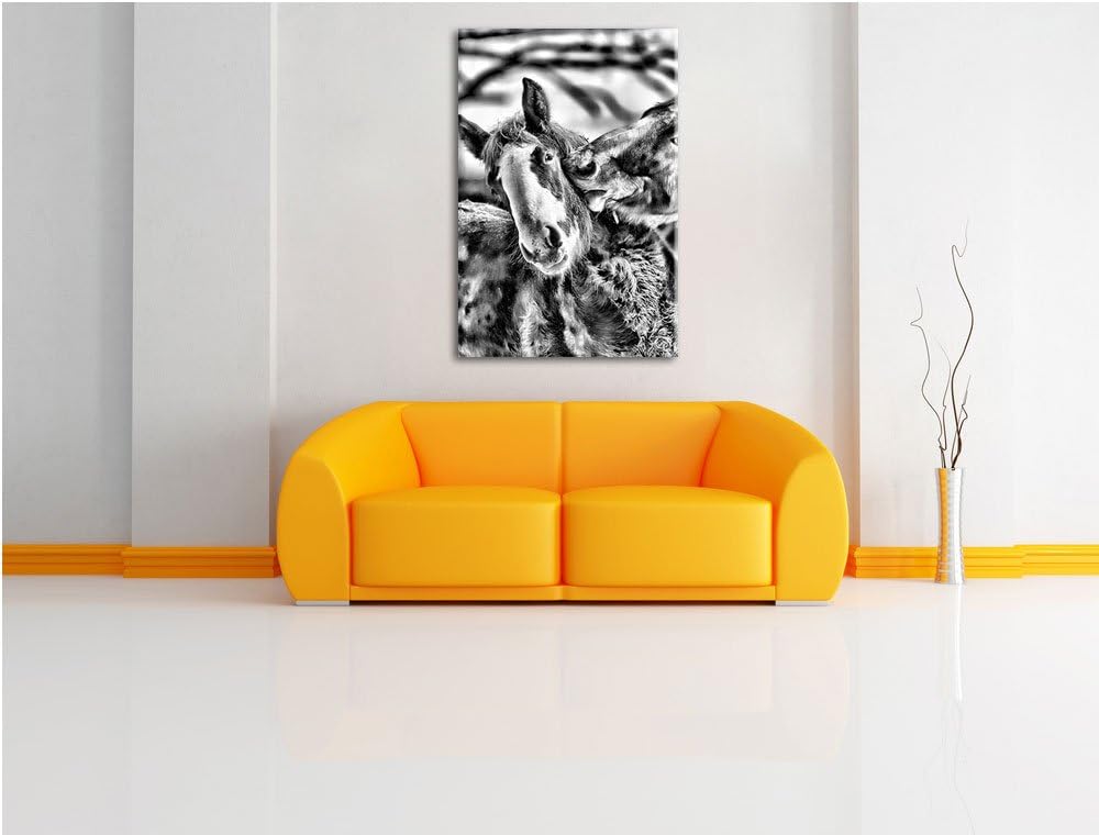 Pixxprint schmusende Pferde / 100x70cm Leinwandbild bespannt auf Holzrahmen/Wandbild Kunstdruck Deko