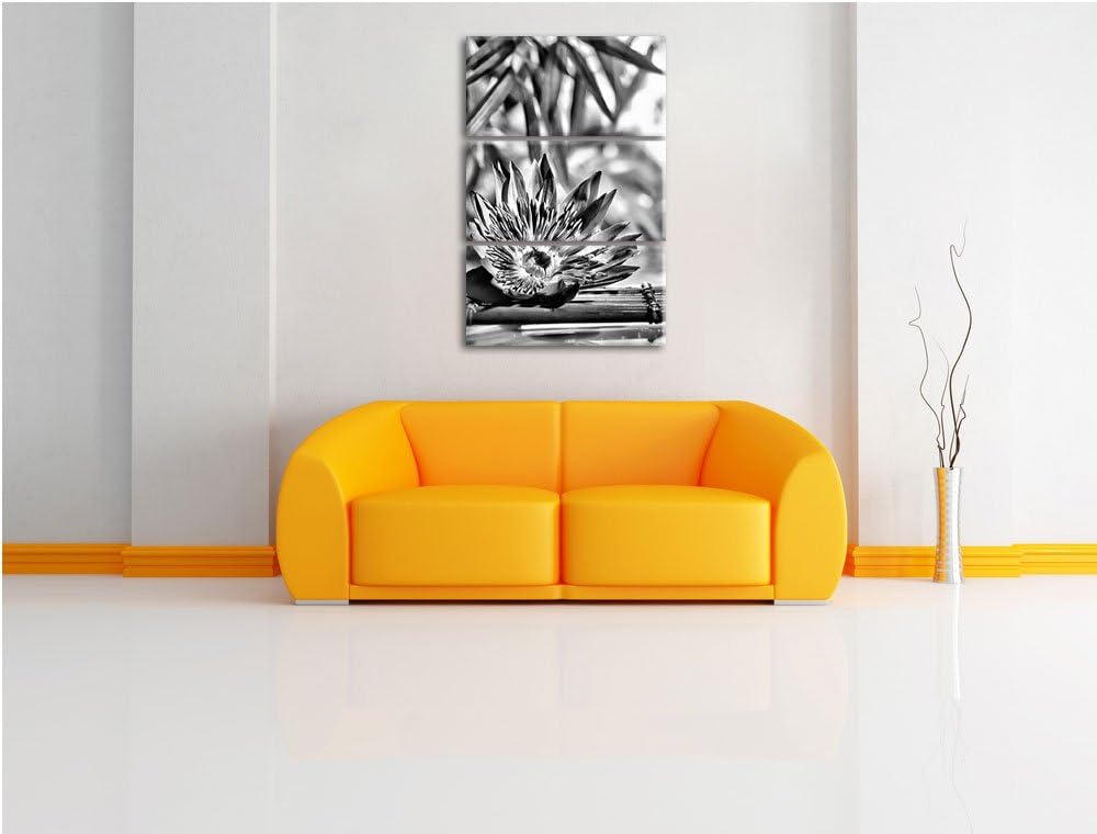 Pixxprint Monocrome, Seerose auf Bambus Wellness 3-Teiler Leinwandbild 120x80 Bild auf Leinwand