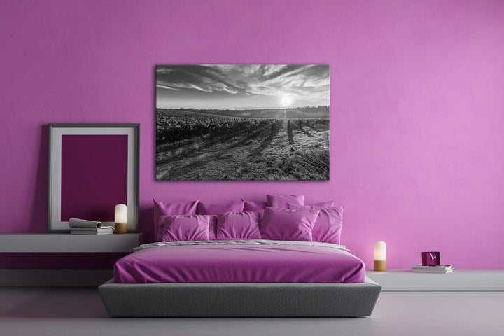 Traubenfeld in der Toskana Effekt: Schwarz/Weiss Format: 60x40 als Leinwandbild, Motiv fertig gerahm