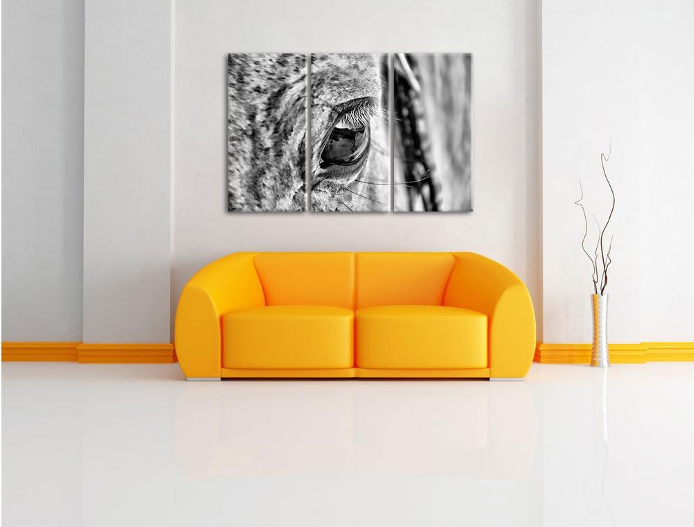 Pixxprint schöne grosse Pferdeaugen als Leinwandbild | Grösse: 3 Teilig (120x80) | Wandbild| Kunstdr