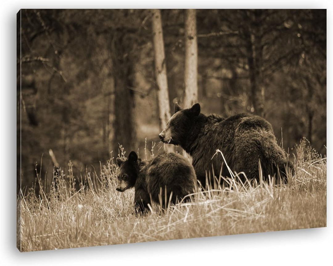 deyoli Braunbärfamilie Format: 80x60 Effekt: Sepia als Leinwand, Motiv fertig gerahmt auf Echtholzra