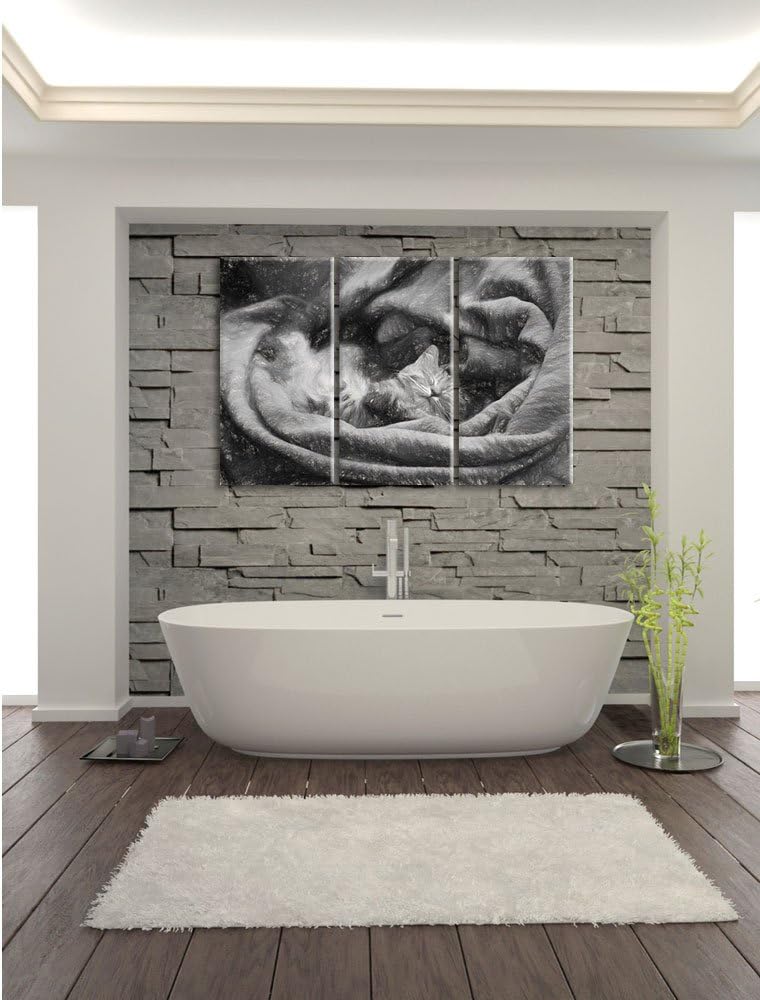 Pixxprint Babykatze als Leinwandbild/Grösse: 3 Teilig (120x80) cm/Wandbild/Kunstdruck/fertig bespann