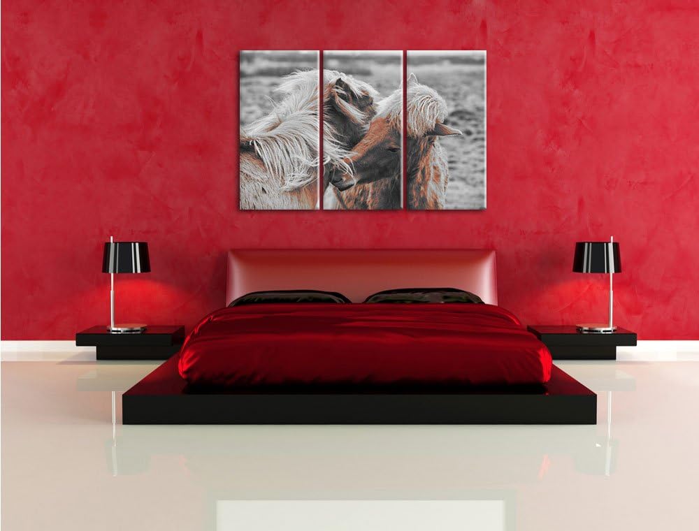 Pixxprint Islandpferde Pony als Leinwandbild | Grösse: 3 Teilig (120x80) | Wandbild| Kunstdruck | fe