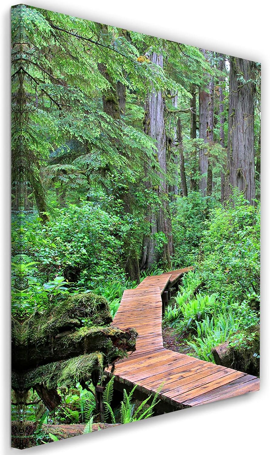 Feeby Vlies Leinwandbild Natur Wald Pflanzen Bäume 60x90 cm Druckbild Wandbild Wanddekoration Deko W