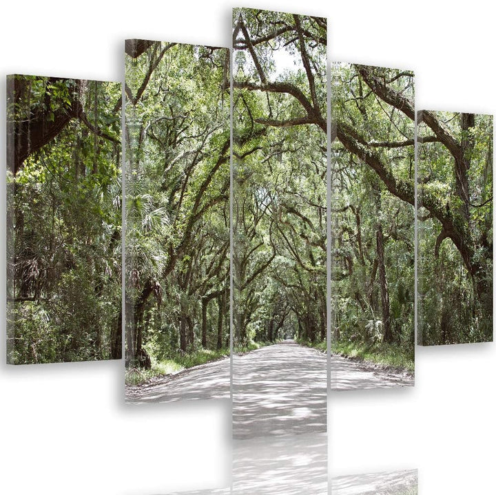 Feeby Wanddeko XXL Natur Leinwandbild 5 Teilig Landschaft Bäume Weg Allee grün 100x70 cm Leinwandbil