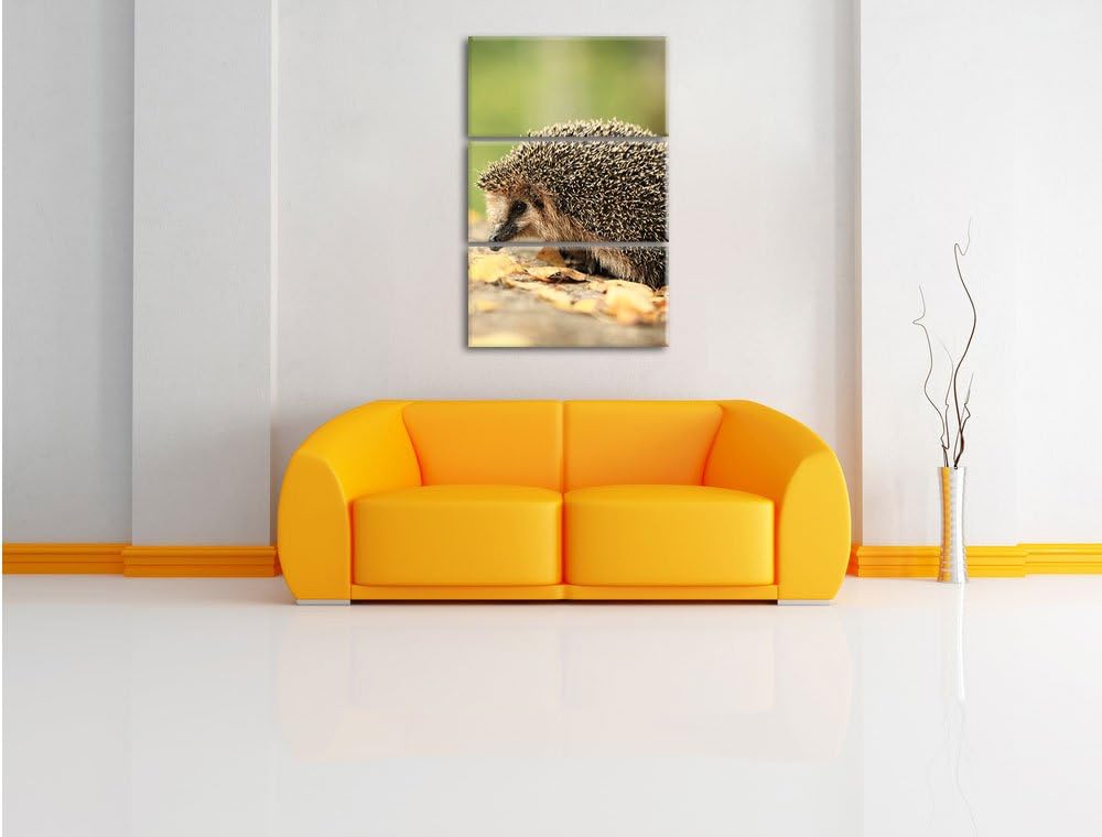 Pixxprint Igel im Laub als Leinwandbild/Grösse: 3 Teilig (120x80) cm/Wandbild/Kunstdruck/fertig besp