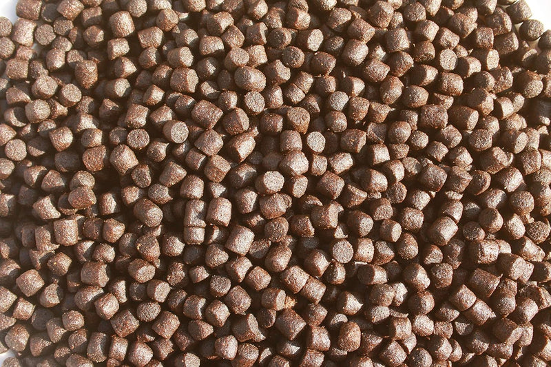 Tomodachi Koifutter, Schwimmfutter, Wachstumsfutter Koi, Energiefutter, Aufzuchtfutter Koi, Premium