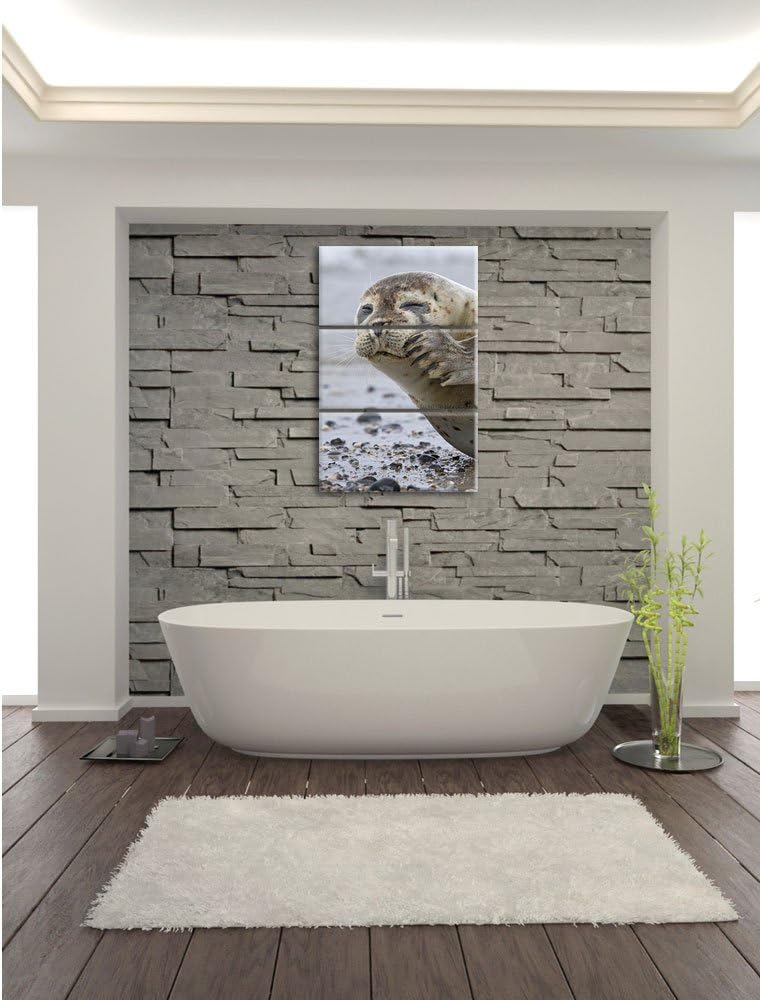 Pixxprint süsse Robbe beim Putzen als Leinwandbild/Grösse: 3 Teilig (120x80) cm/Wandbild/Kunstdruck/