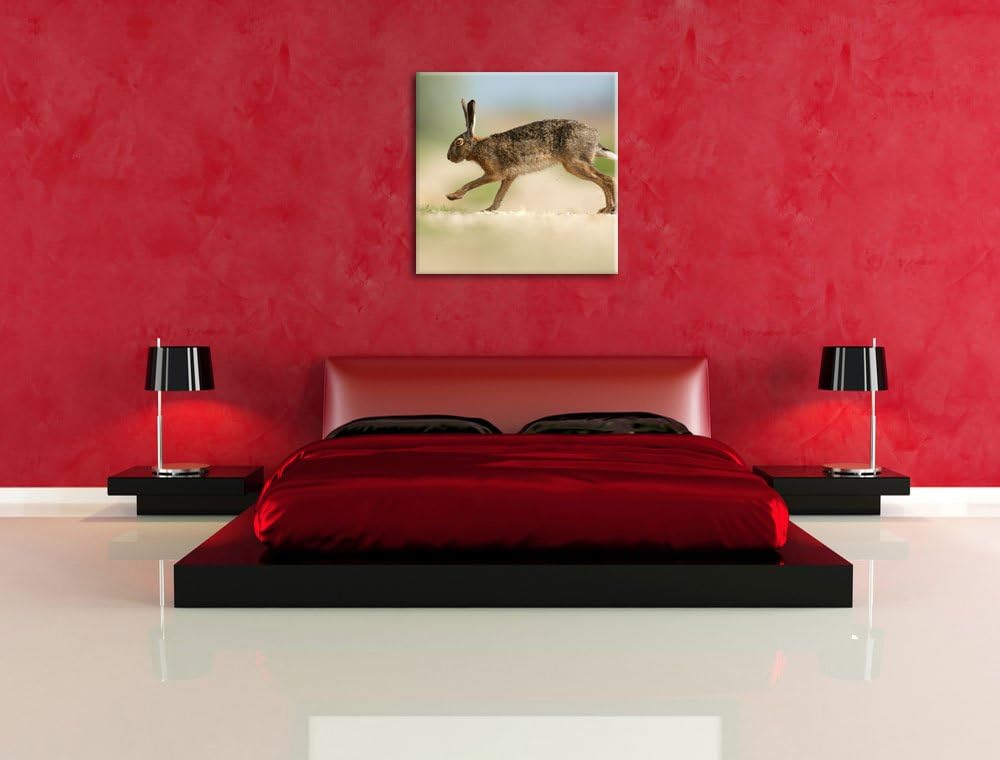Pixxprint Hüpfender Hase, Format: 70x70 auf Leinwand, XXL riesige Bilder fertig gerahmt mit Keilrahm