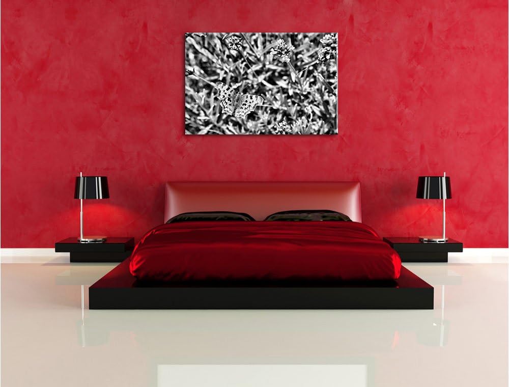 Pixxprint Schmetterling auf Blumenwiese / 100x70cm Leinwandbild bespannt auf Holzrahmen/Wandbild Kun
