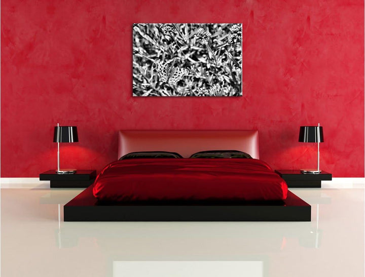Pixxprint Schmetterling auf Blumenwiese / 100x70cm Leinwandbild bespannt auf Holzrahmen/Wandbild Kun