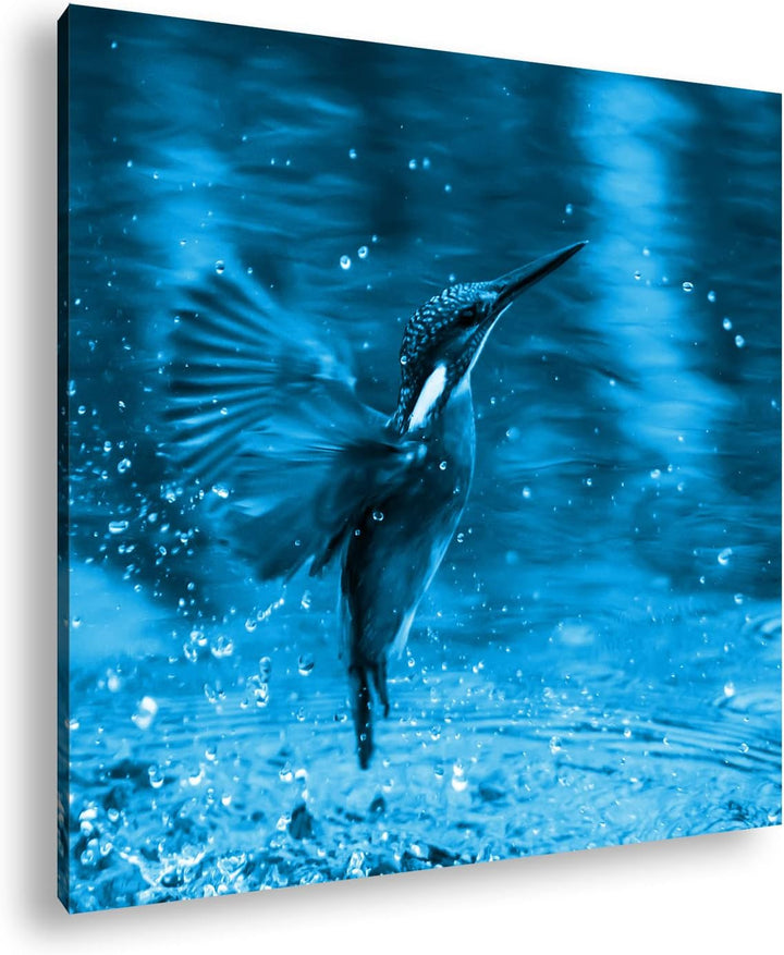 deyoli Fliegender Eisvögel Format: 70x70 Effekt: Monocrome Blau als Leinwandbild, Motiv fertig gerah