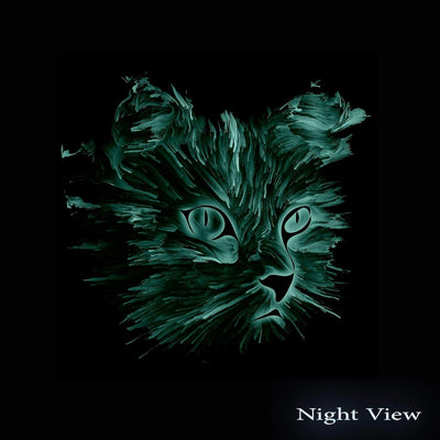 Startonight Bild auf Acrylglas - Mehrfarbige Katze - Abstrakte Modernes Acrylglasbild - Deko Glas 60