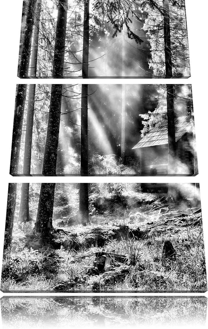 Pixxprint Sonnenstrahlen im Wald als Leinwandbild/Grösse: 3 Teilig (120x80) cm/Wandbild/Kunstdruck/f