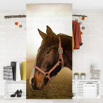 Raumteiler Kinderzimmer Early Horse 250x120cm inkl. transparenter Halterung 250x120cm incl. transpar