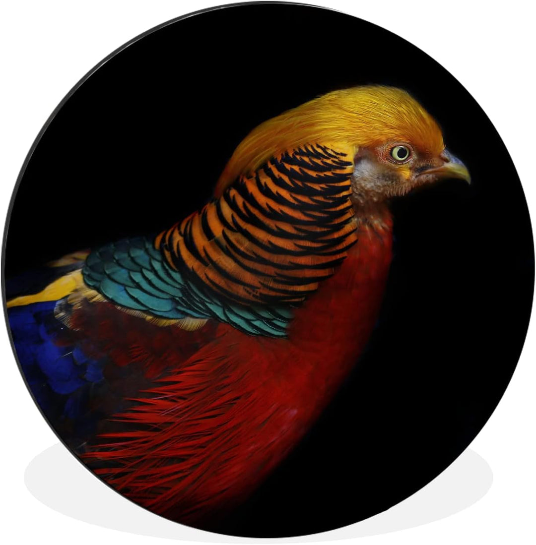 MuchoWow Wandbild Rund Wanddeko Deko Wohnzimmer Bilder 30x30 cm Vogel - Federn - Schwarz - Porträt,