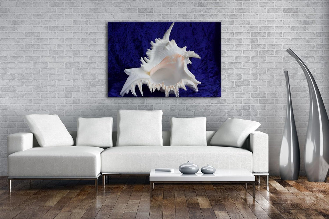 deyoli beeindruckende Muschel Format: 80x60 als Leinwandbild, Motiv fertig gerahmt auf Echtholzrahme