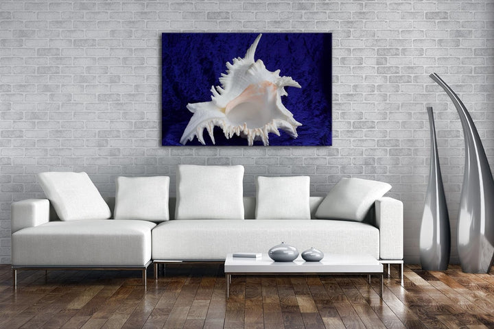 deyoli beeindruckende Muschel Format: 80x60 als Leinwandbild, Motiv fertig gerahmt auf Echtholzrahme