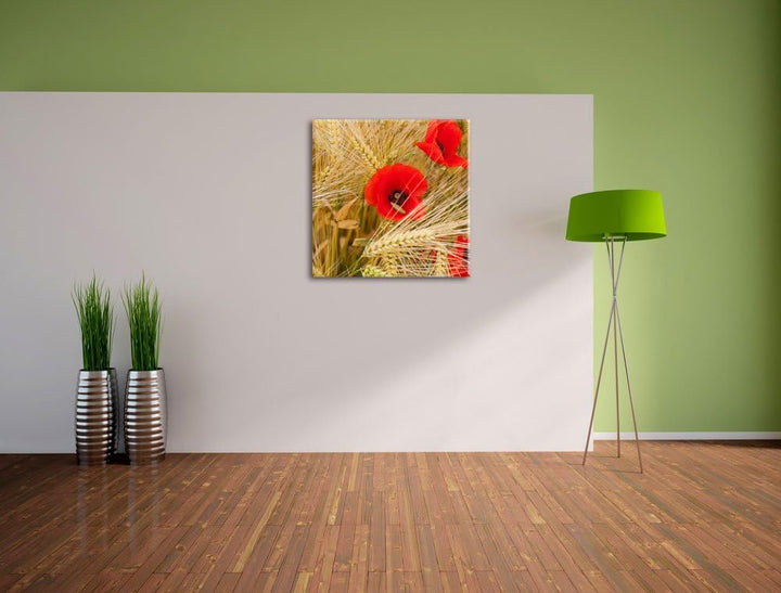 Pixxprint Mohnblumen auf dem Mais-Feld als Leinwandbild/Grösse: 70x70 cm/Wandbild/Kunstdruck/fertig