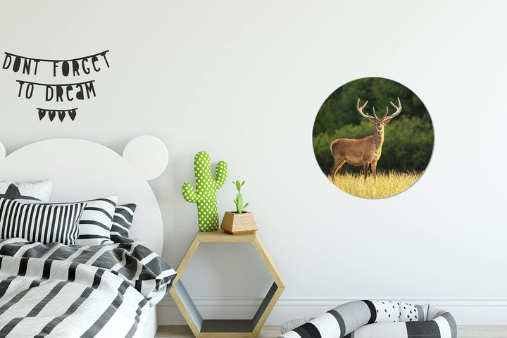 MuchoWow Wandbild Rund Wanddeko Deko Wohnzimmer Bilder 30x30 cm Hirsch - Geweih - Gras - Natur - Tie