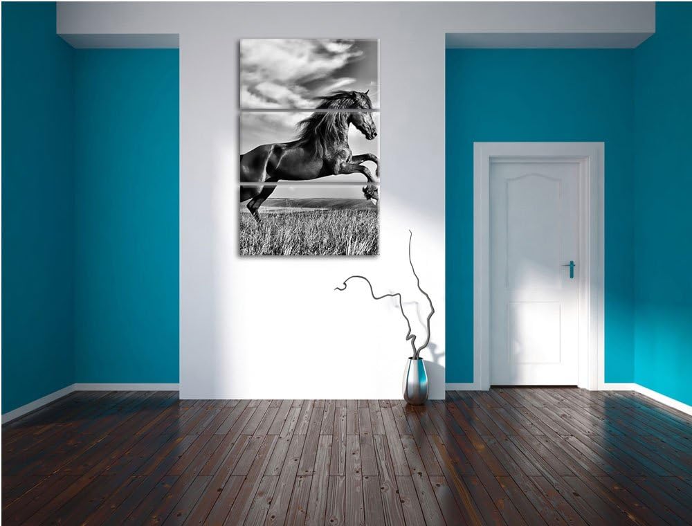 Pixxprint Monocrome, Schwarzer Hengst auf grünen Wiese 3-Teiler Leinwandbild 120x80 Bild auf Leinwan