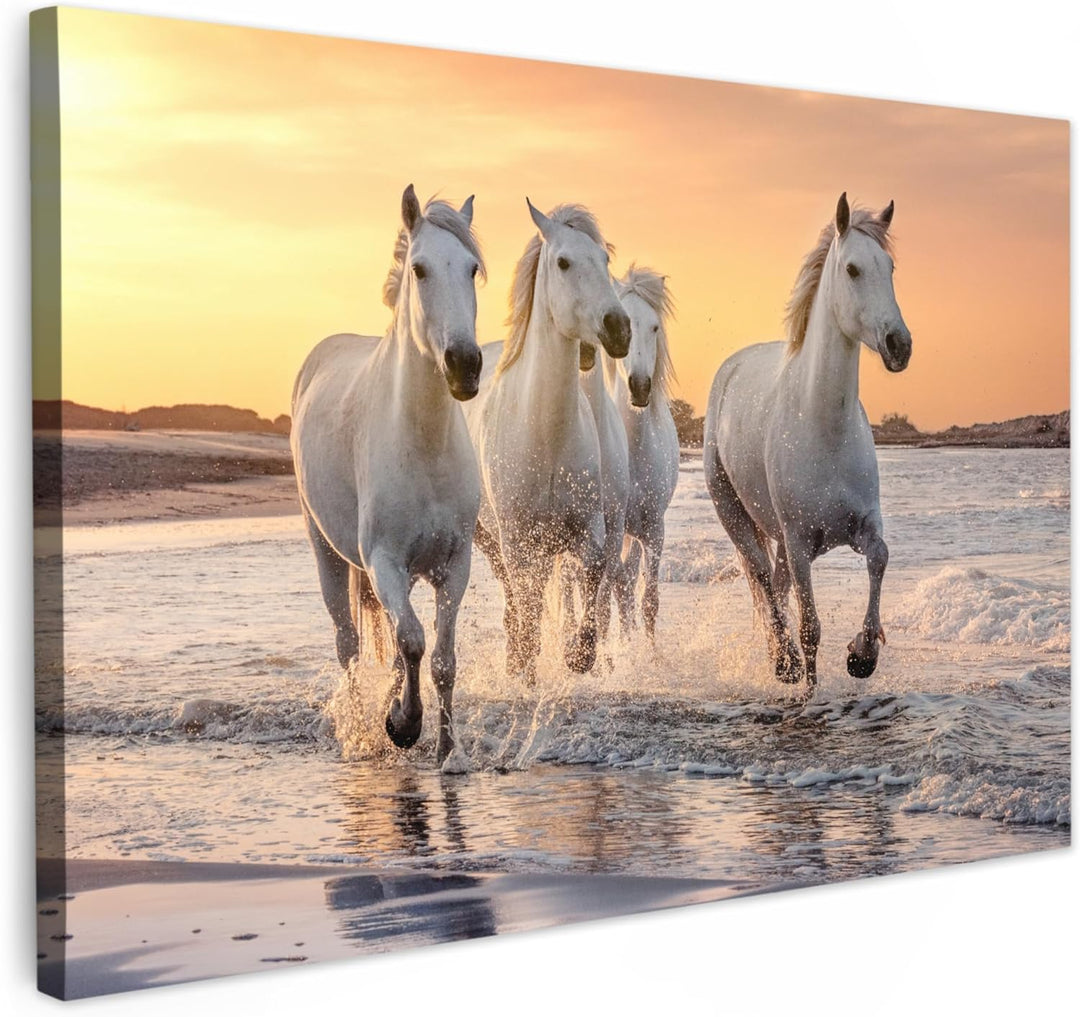 MuchoWow Leinwand Bilder, Einzigartige Wanddeko mit Rahmen, Pferde - Sonne - Meer - Strand - Tiere,