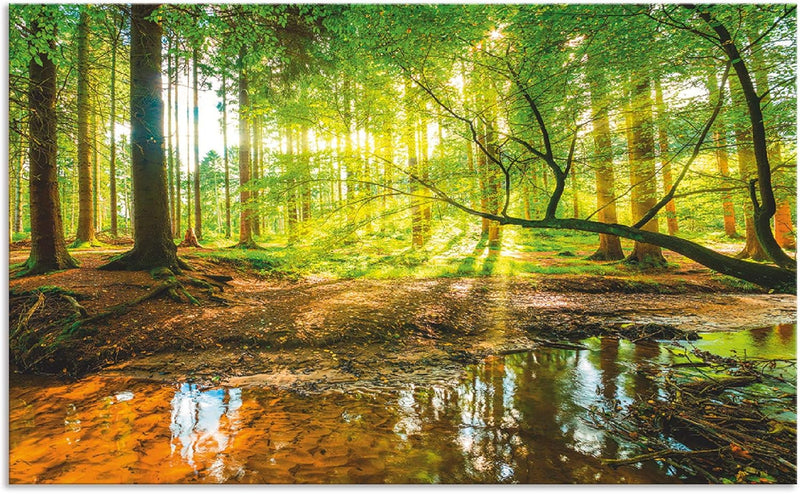 ARTland Spritzschutz Küche aus Alu für Herd Spüle 90x55 cm (BxH) Küchenrückwand mit Motiv Natur Land