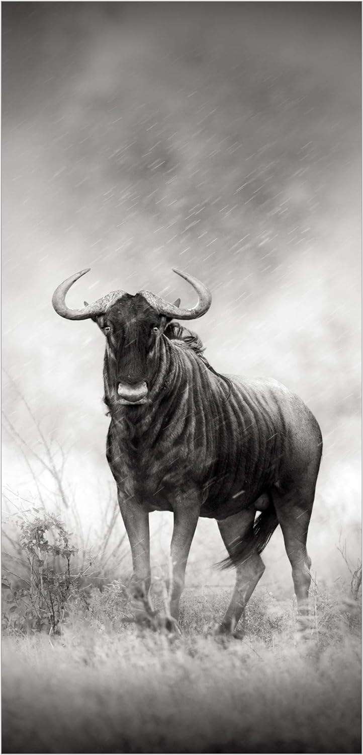 Raumteiler Staring Wildebeest 250x120cm ohne Halterung 250x120cm without hanger, 250x120cm without h