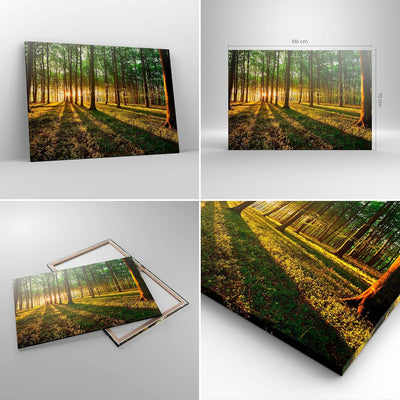 Bilder auf Leinwand 100x70cm Leinwandbild Wald grün Sonnenstrahlen Natur Gross Wanddeko Bild Schlafz