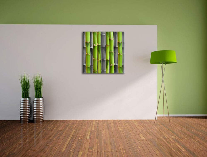 Pixxprint frischer grüner Bambus als Leinwandbild/Grösse: 70x70 cm/Wandbild/Kunstdruck/fertig bespan
