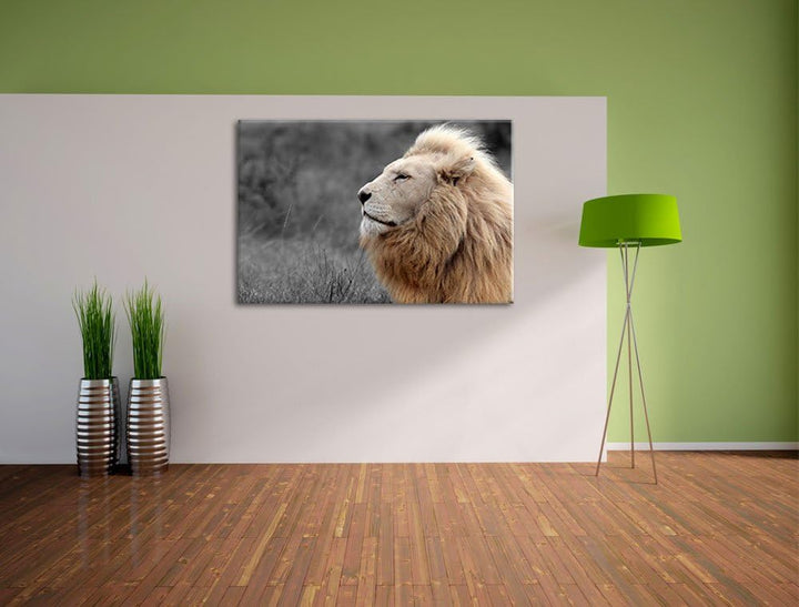 Weisser majestätischer Löwe in der Savanne schwarz/weiss Format: 100x70 auf Leinwand, XXL riesige Bi