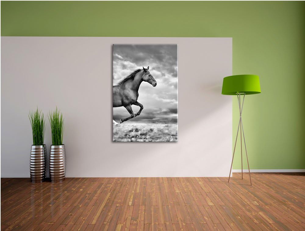 Pixxprint Monocrome, Edler schwarzer Hengst auf Wiese, Format: 100x70 auf Leinwand, XXL riesige Bild