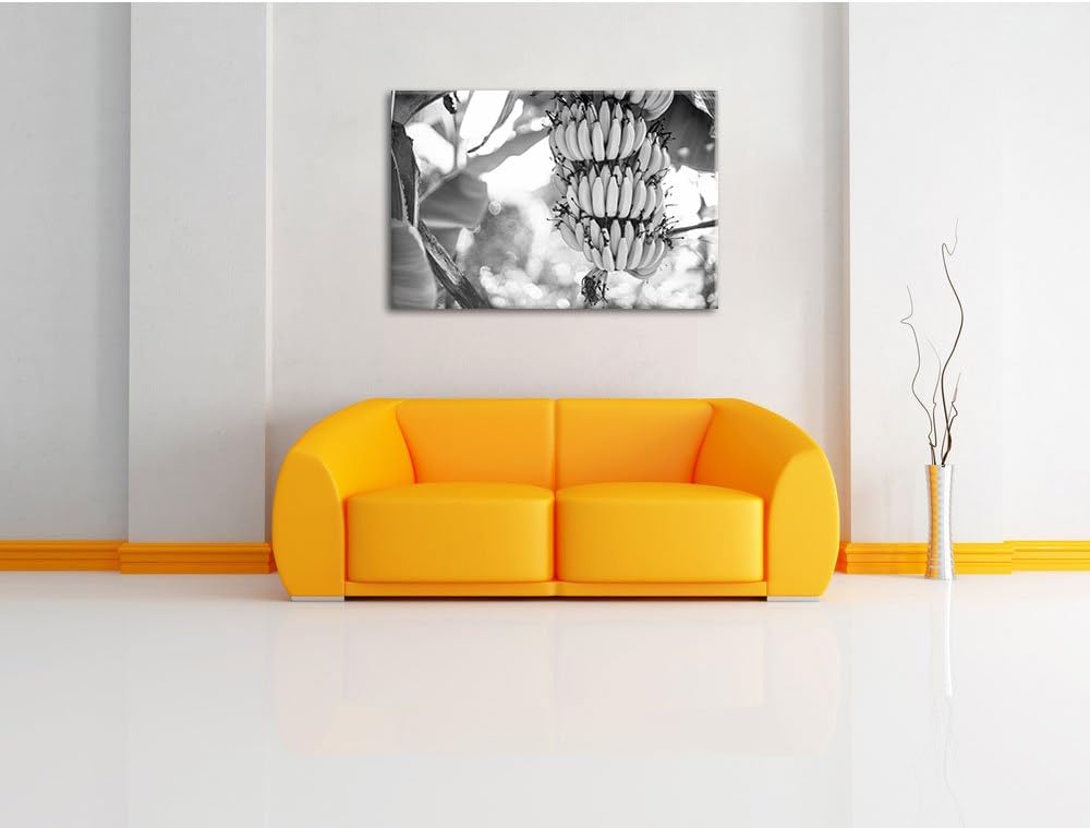 Pixxprint Bananen am Baum / 100x70cm Leinwandbild bespannt auf Holzrahmen/Wandbild Kunstdruck Dekora