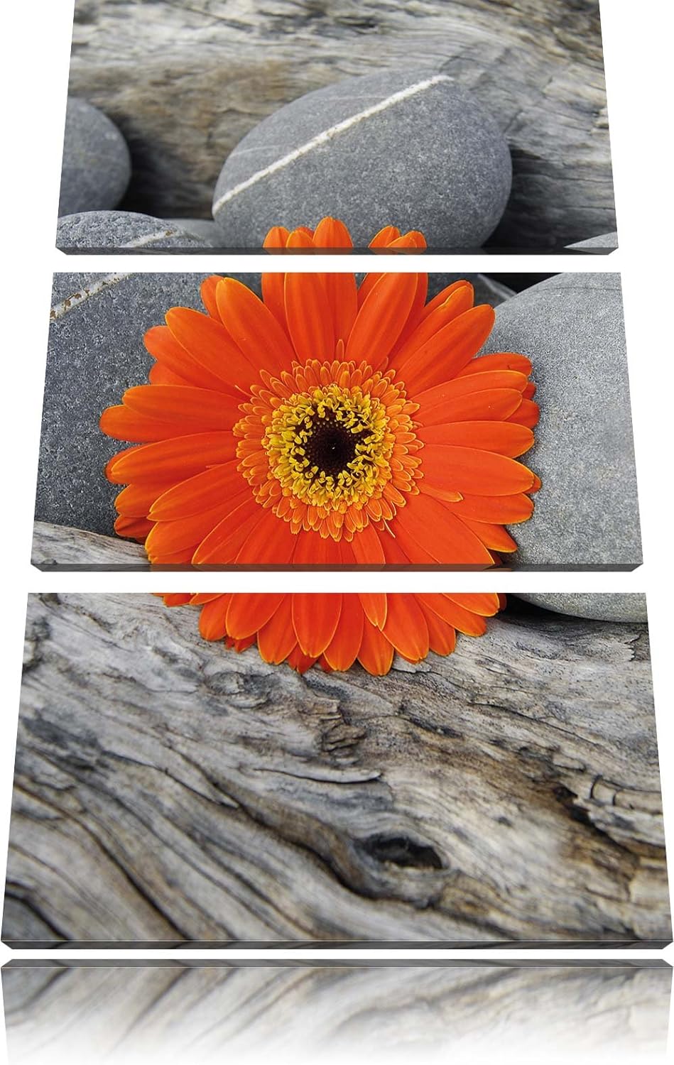 Pixxprint Gerbera zwischen Zen Steinen als Leinwandbild - Grösse: 3-Teilig (120x80cm) - Wandbild - K