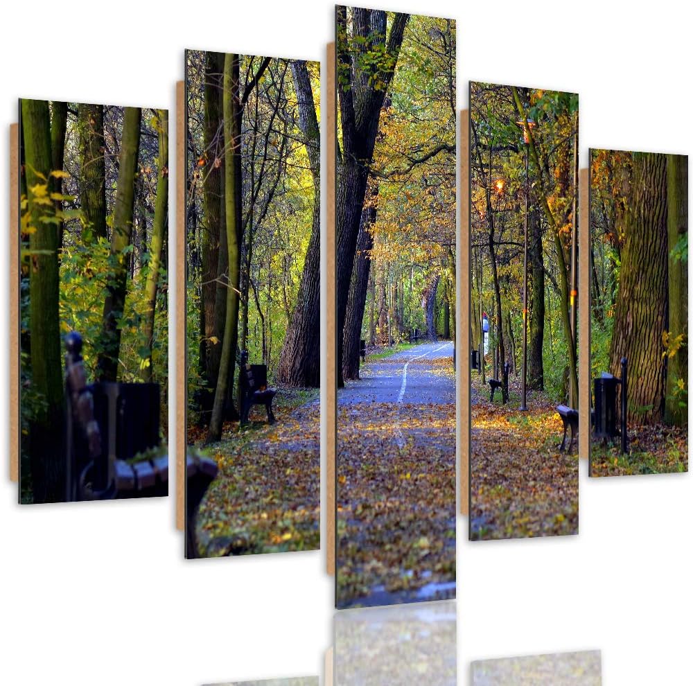 Deco Bild 5 Teilig Landschaft Wanddekoration Park Allee Herbst bunt 200x100 cm Deco panel 200x100 cm