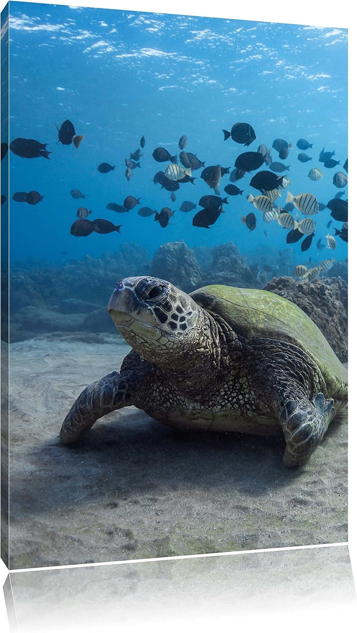 Pixxprint Ninja Turtles, Format: 100x70 auf Leinwand, XXL riesige Bilder fertig gerahmt mit Keilrahm