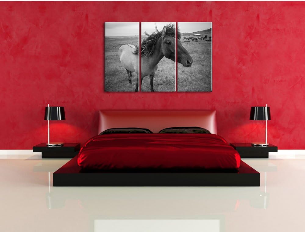 Isländer Pferde in der Wildnis als Leinwandbild/Grösse: 3 Teilig (120x80 cm) cm/Wandbild/Kunstdruck/
