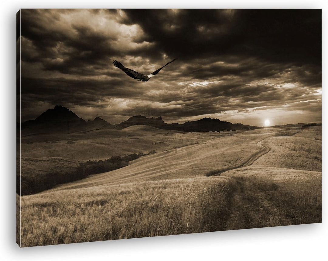 deyoli grüne Wiese mit Adler Format: 80x60 Effekt: Sepia als Leinwandbild, Motiv fertig gerahmt auf
